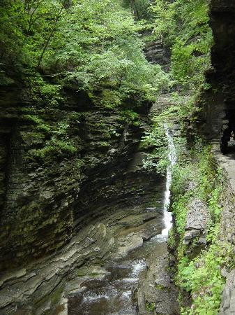 沃特金斯峡谷州立公园-沃特金斯格伦必去景点