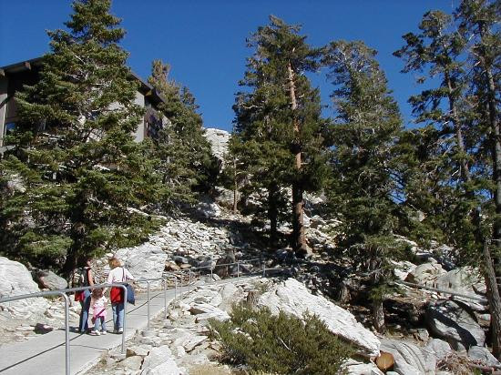 棕榈泉空中缆车-棕榈泉市必去景点