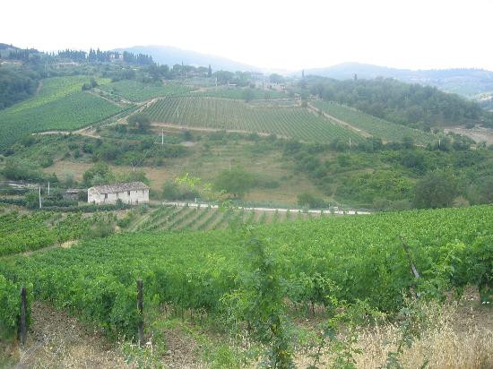 Fattoria Poggiarelli主图