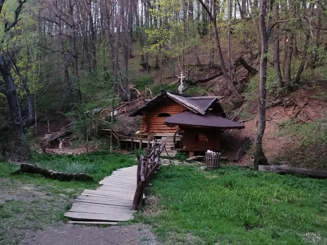 Pet Yal旅游攻略图片