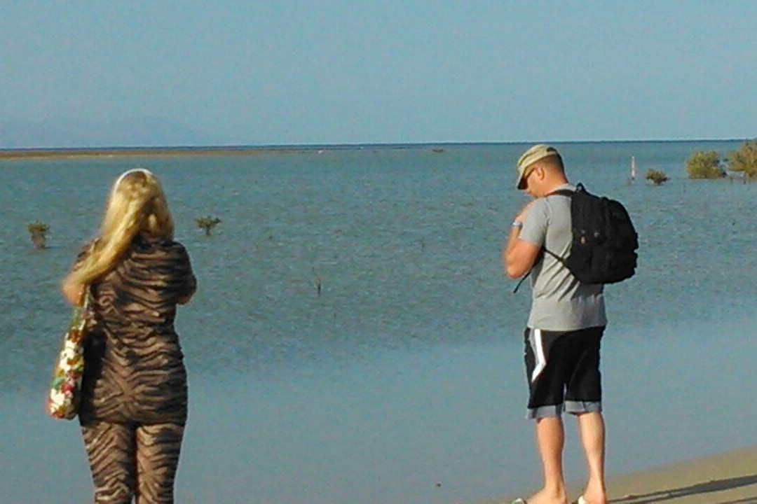 Mangrove Beach-Ras Mohammed必去景点