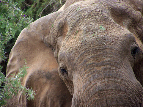 Ndohakashani Tours-瓦塔木必去景点