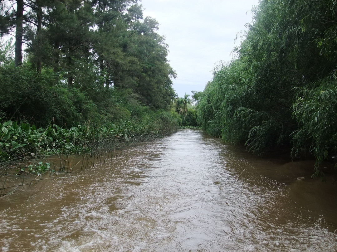 Delta Unplugged-蒂格雷必去景点