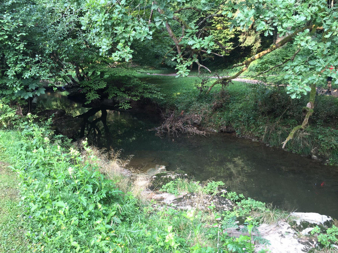 Campsite Dolenjske Toplice