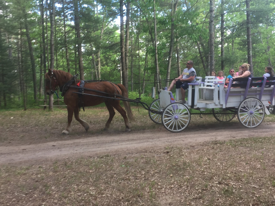 Ann's Putman Lake RV Park and Campground