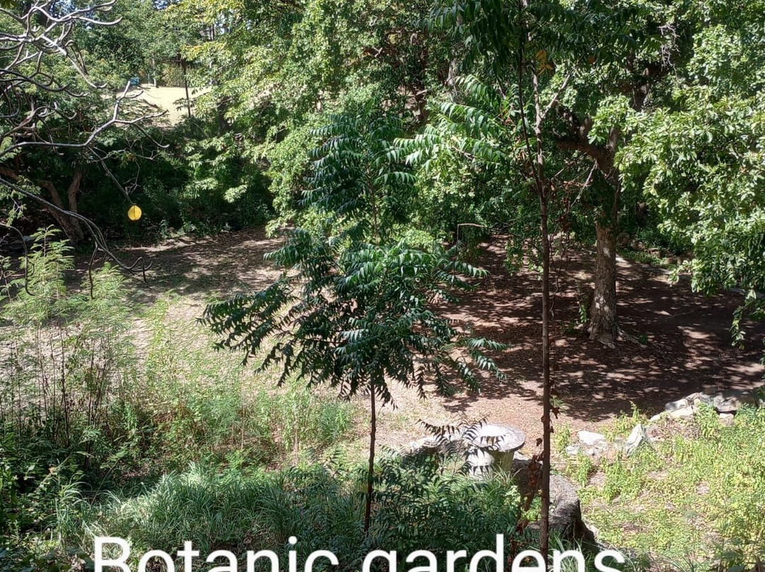 Botanical Gardens景点图片