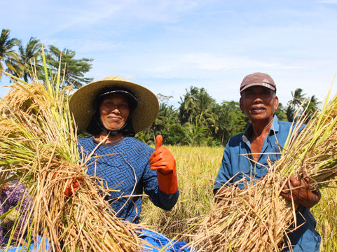 Ning Membumi-吉安雅必去景点