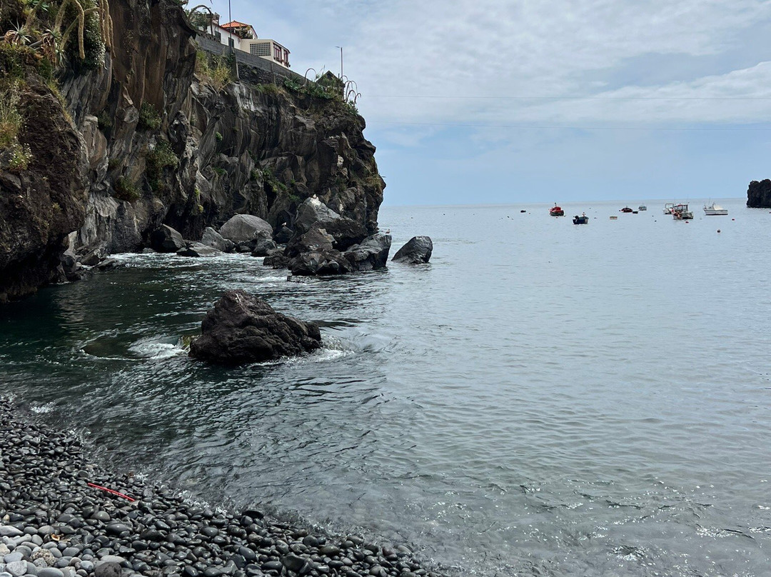 Madeira Green Train-Camara De Lobos必去景点