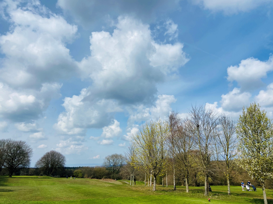 Tall Pines Golf Club景点图片