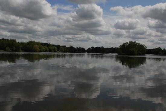 Wellington Country Park-雷丁必去景点