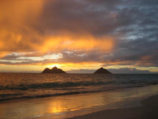 拉尼凯海滩-科纳必去景点