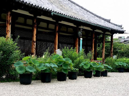 元兴寺-奈良市必去景点