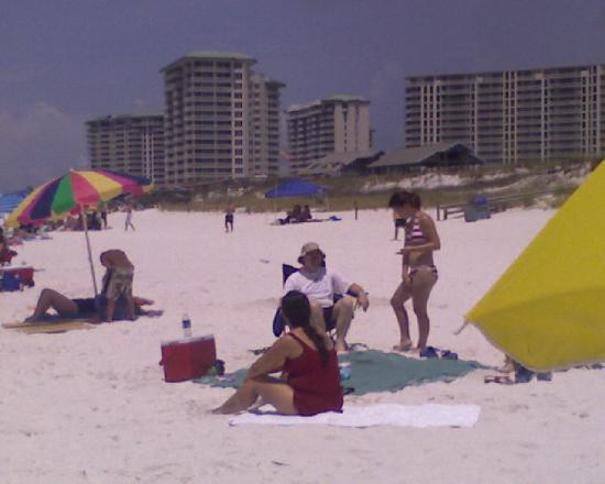 Henderson Beach State Park景点图片