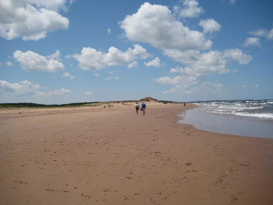 Cavendish Beach-卡文迪西必去景点