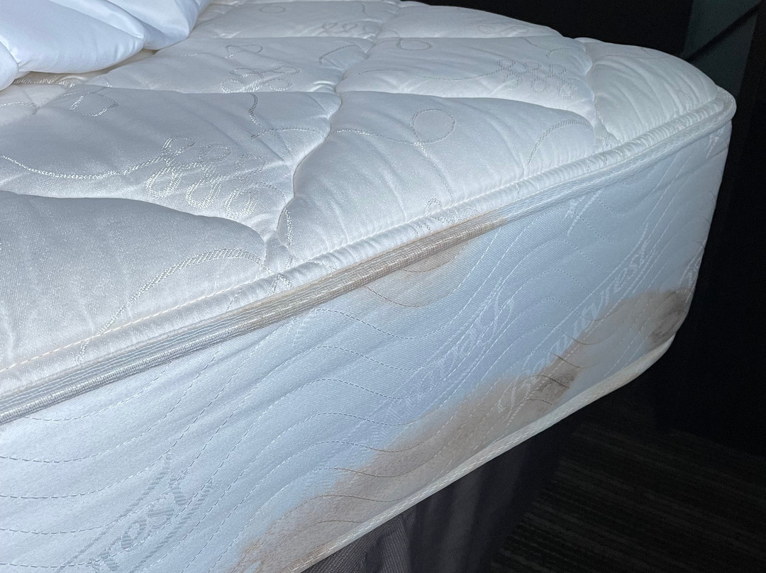 Super 8 by Wyndham Brenham TX主图