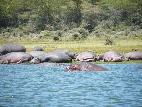 Eyes On Africa Safaris-马赛马拉国家野生动物保护区必去景点