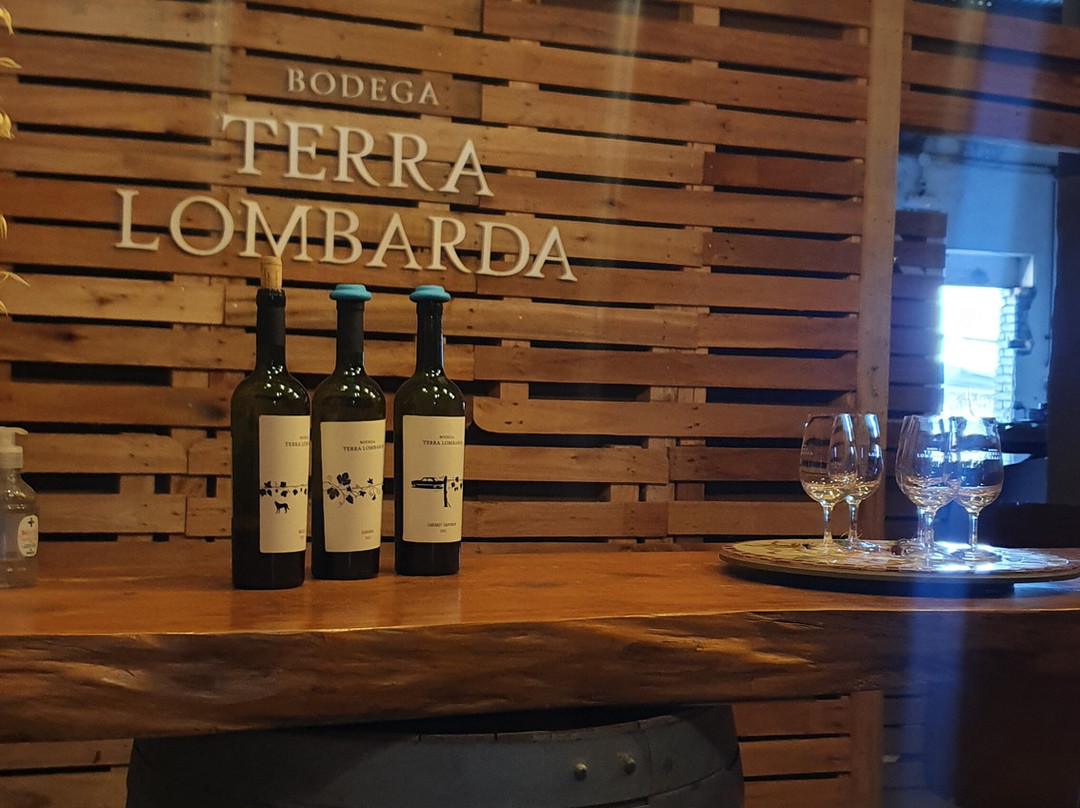 Bodega Terra Lombarda景点图片