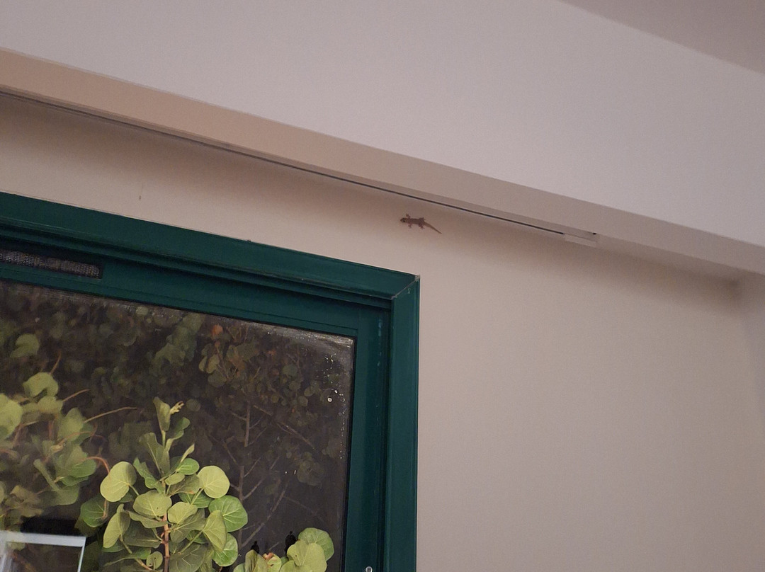 Resonance Musique Santa Maria主图