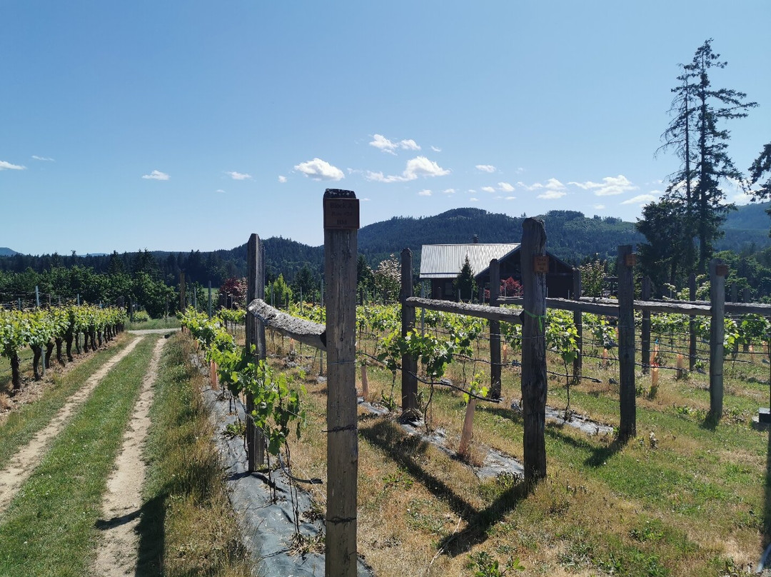 Blue Grouse Estate Winery and Vineyard景点图片