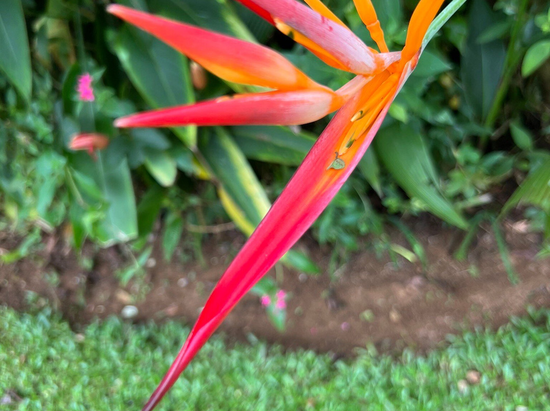 Castlereagh Reservoir-哈顿必去景点