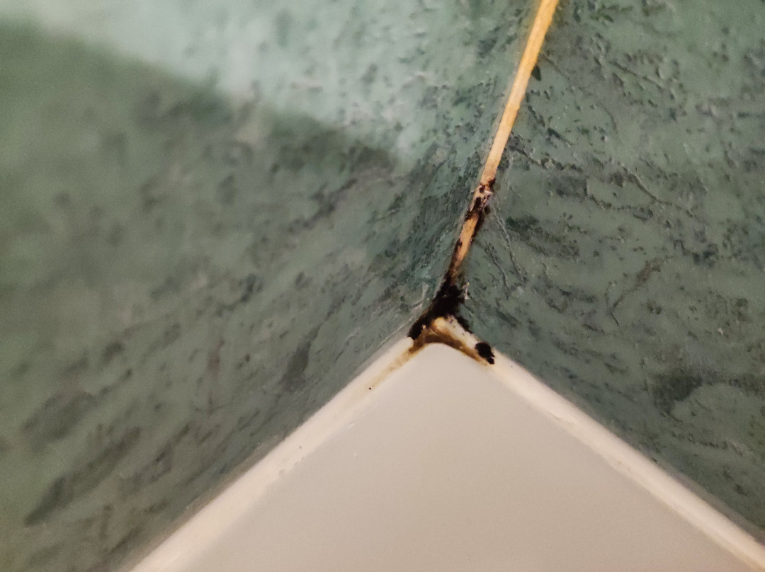 Hotel Bar Restorant Le Olive主图