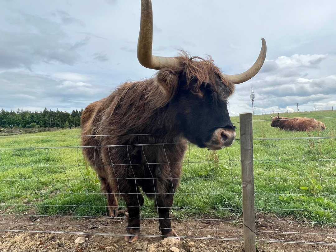 Highland Spirit Tours-Burghead必去景点