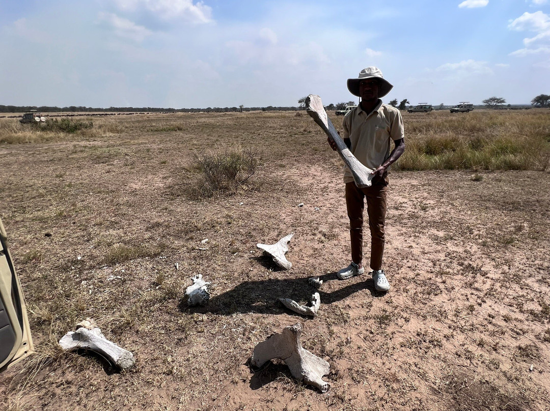 Blessing Safaris-阿鲁沙必去景点