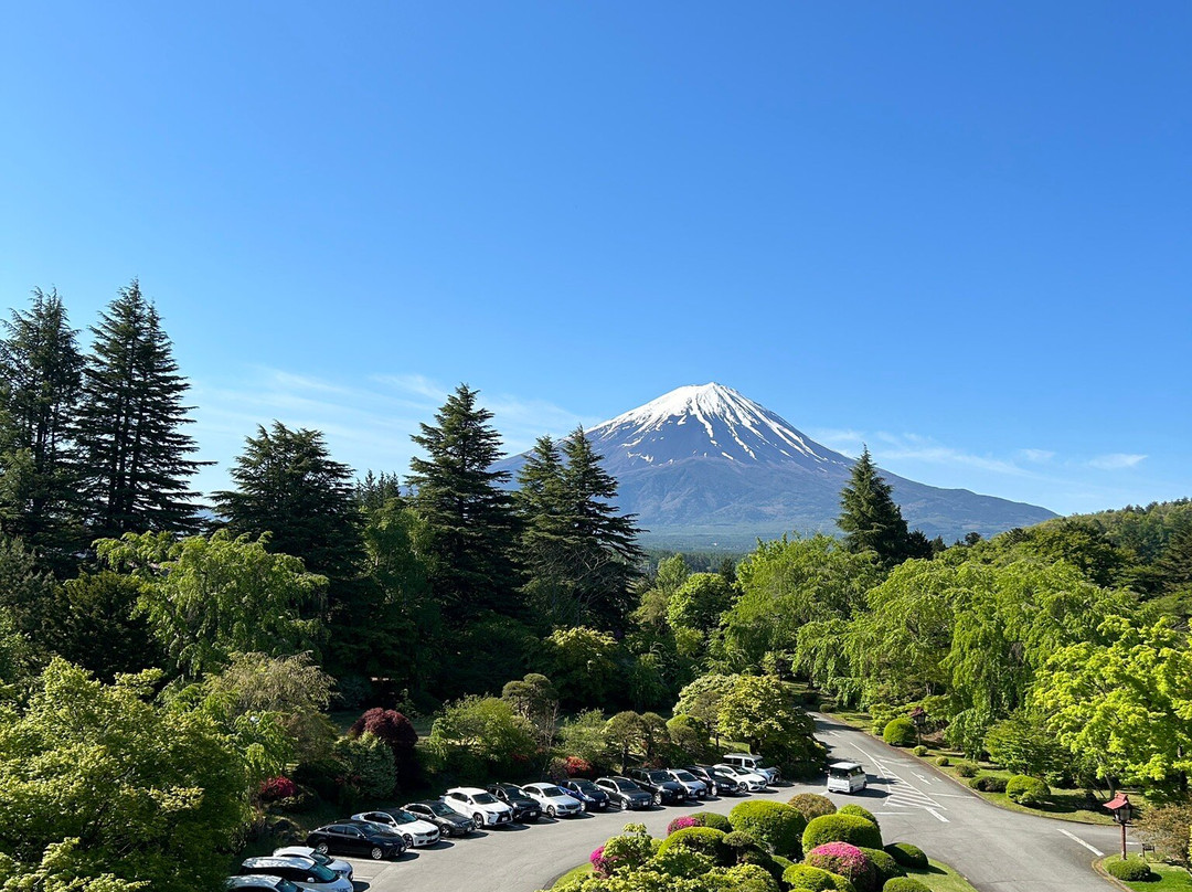 Fuji View Hotel Japanese Garden-富士河口湖町必去景点