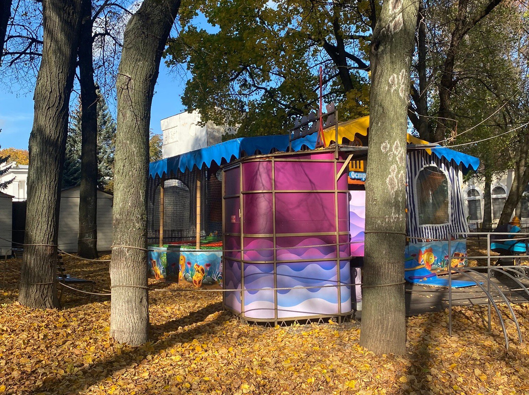 Central Park of Culture and Recreation of Vladimir City景点图片