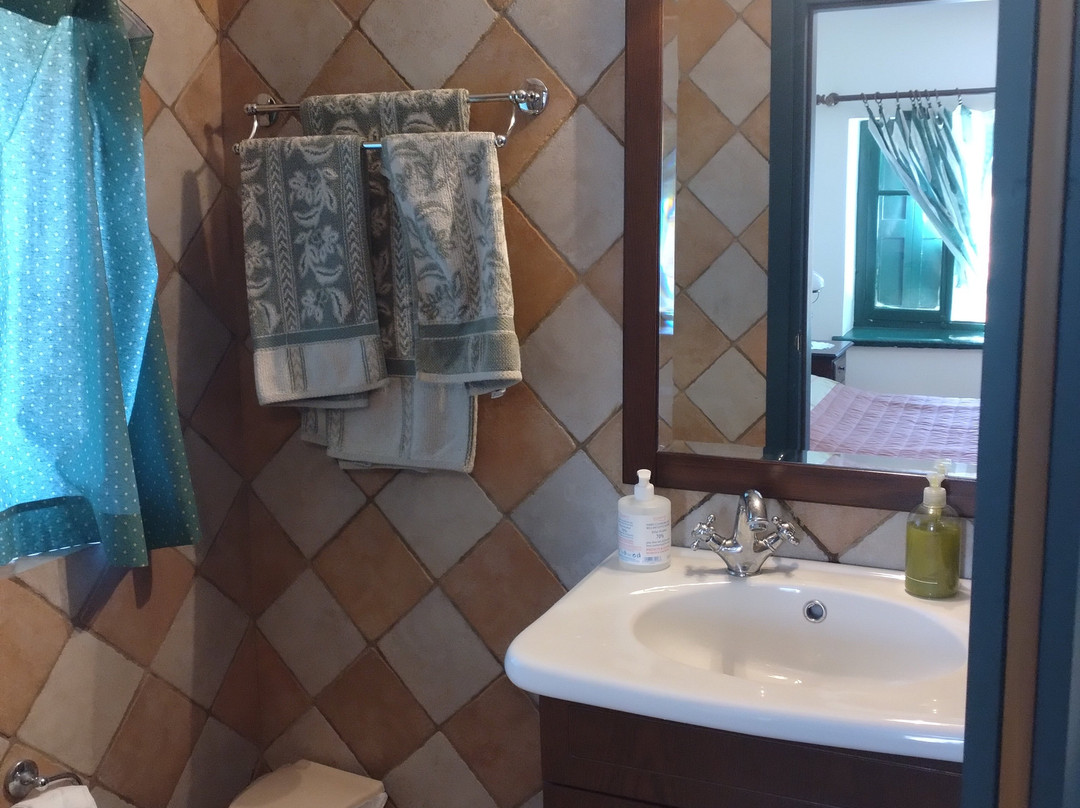 Alexandros Pansion主图