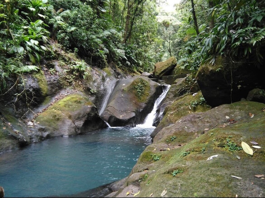 Cascades du Bassin Bleu-Gourbeyre必去景点