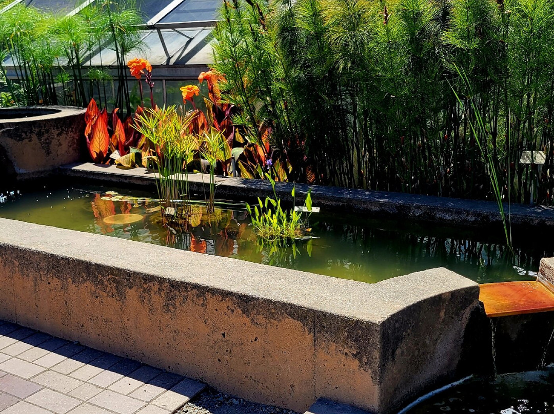 加州大学伯克利分校植物园-伯克利必去景点