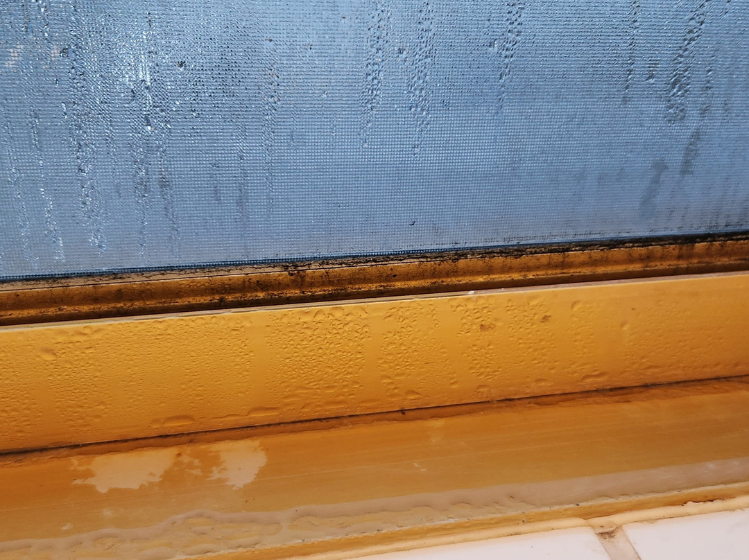 Atlantic Tower Motor Inn主图