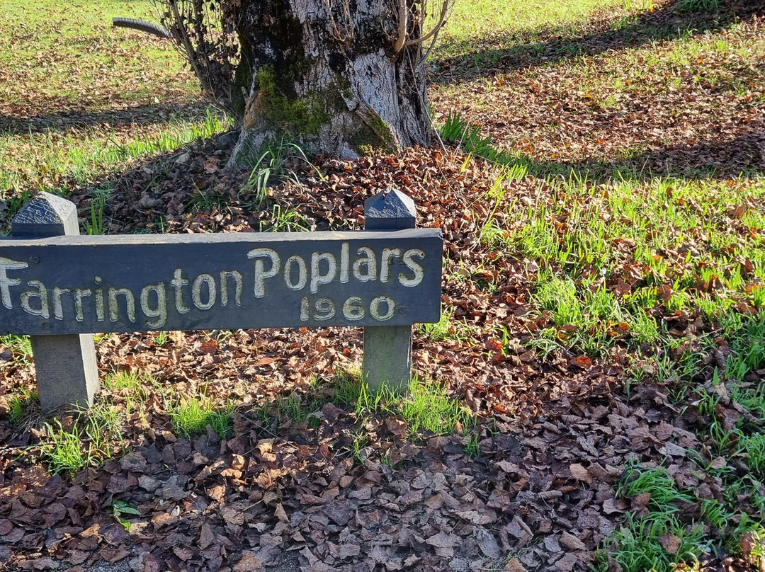Bright Memorial Arboretum-布赖特必去景点