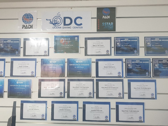 Ocean Dive Center-阿布扎比必去景点