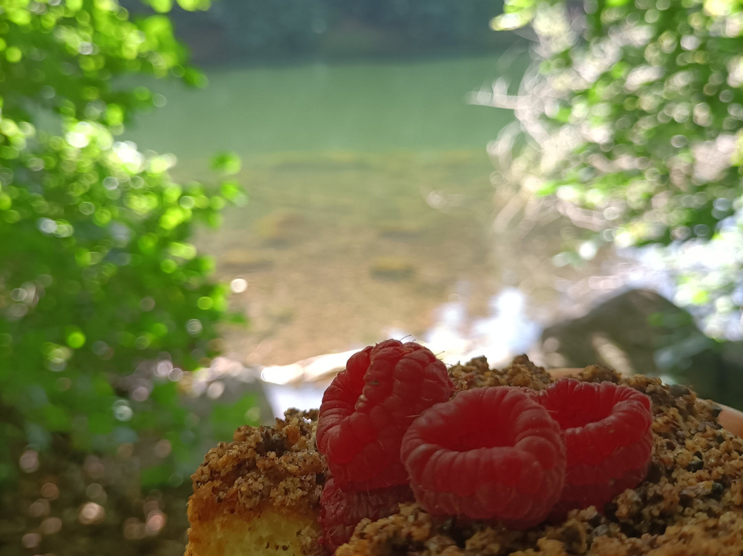 Lac d'Aydat景点图片