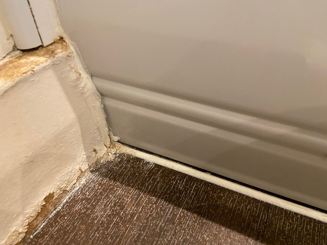 普瑞米尔伦敦赫恩德昂酒店(海德)主图