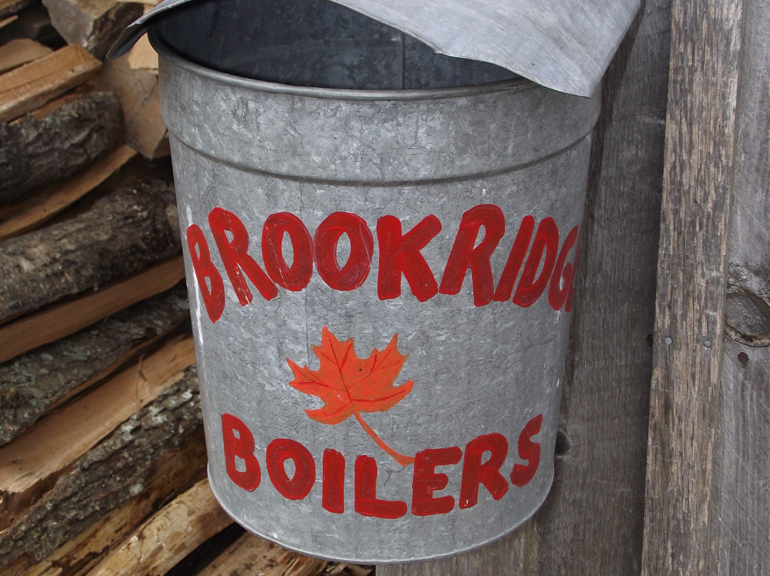 BrookRidge Boilers景点图片