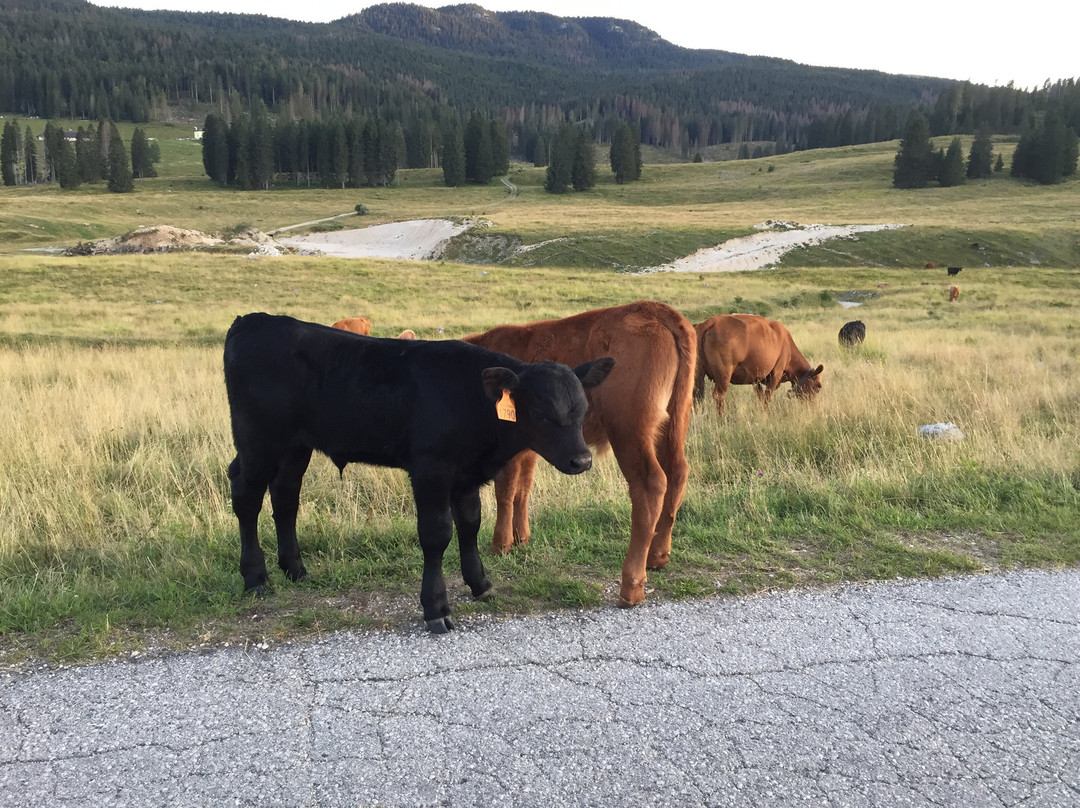 Rifugio Valmaron主图