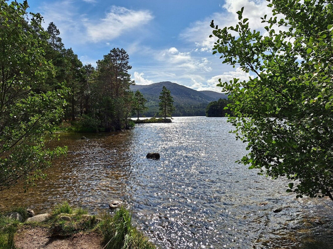 Loch an Eilein景点图片