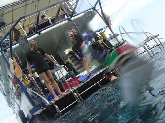Similan Diving Safaris景点图片