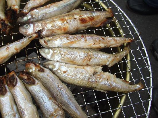 Tomikawa Sarugawa Seseragi Park-日高町必去景点