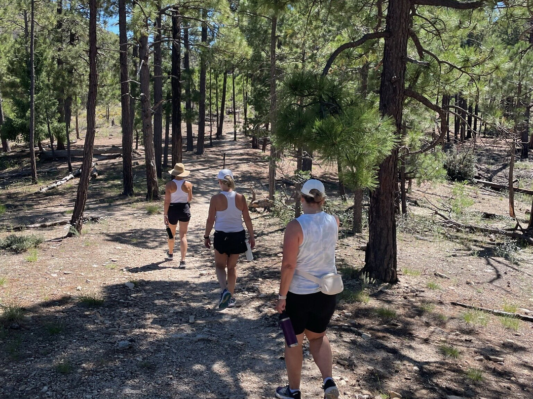 Cactus Cove Bed and Breakfast Inn主图