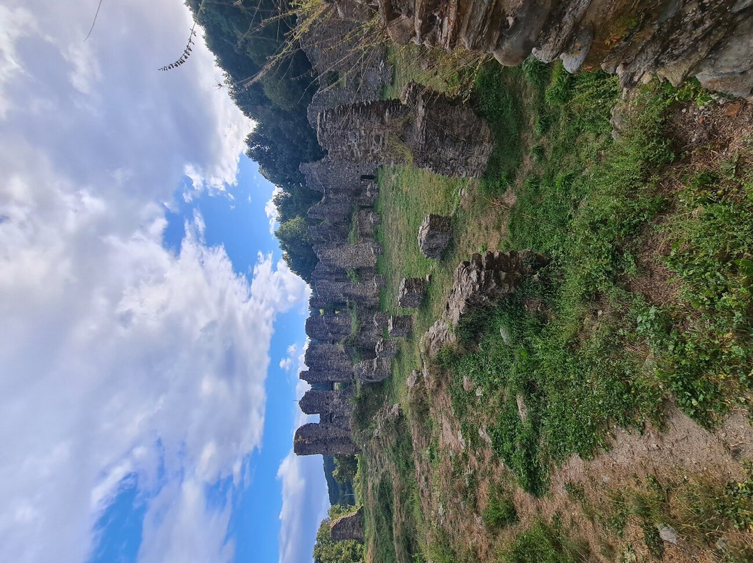 Abbazia di Santa Maria di Corazzo景点图片