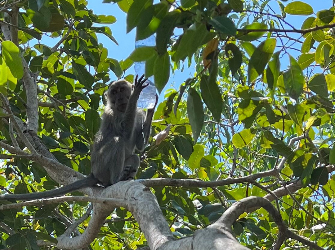 Nusa Penida Traveller-珀尼达岛必去景点