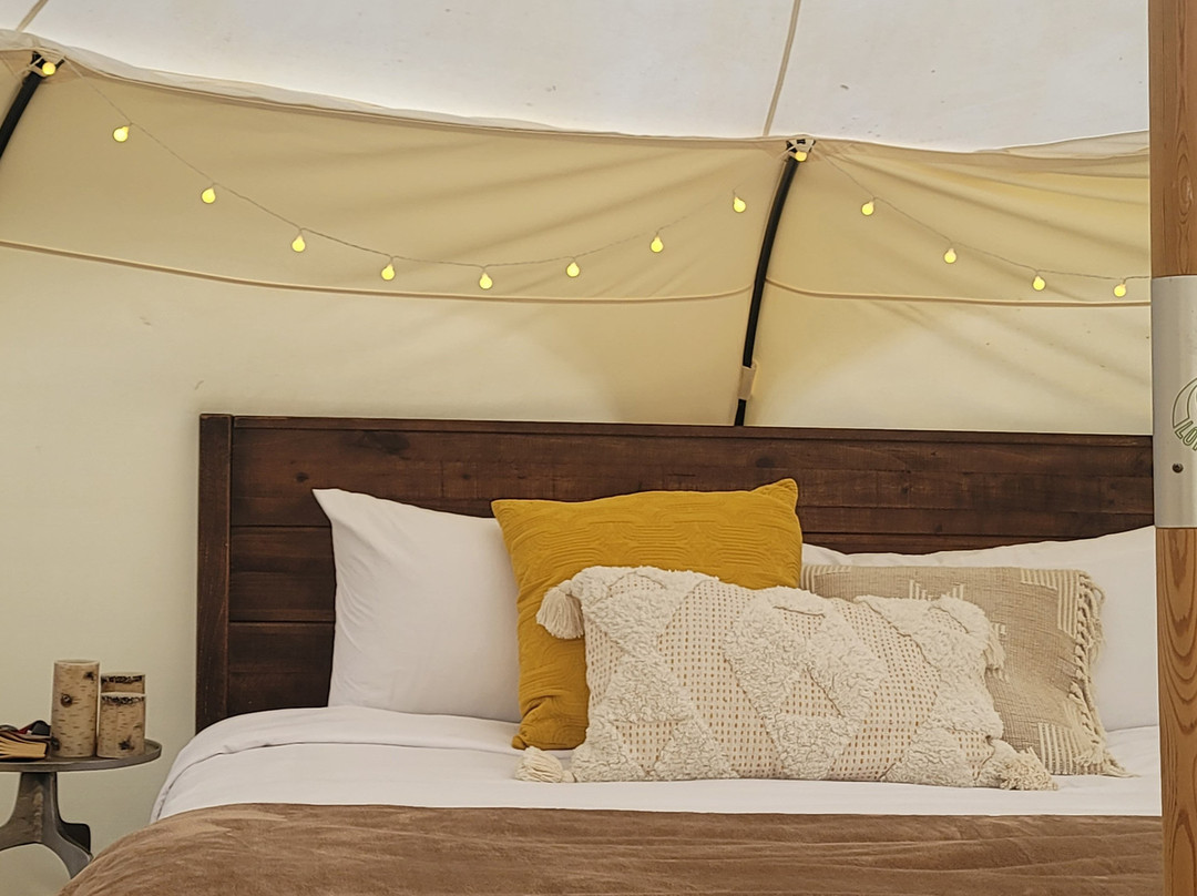 Cypress Valley Canopy Tours-Spicewood必去景点