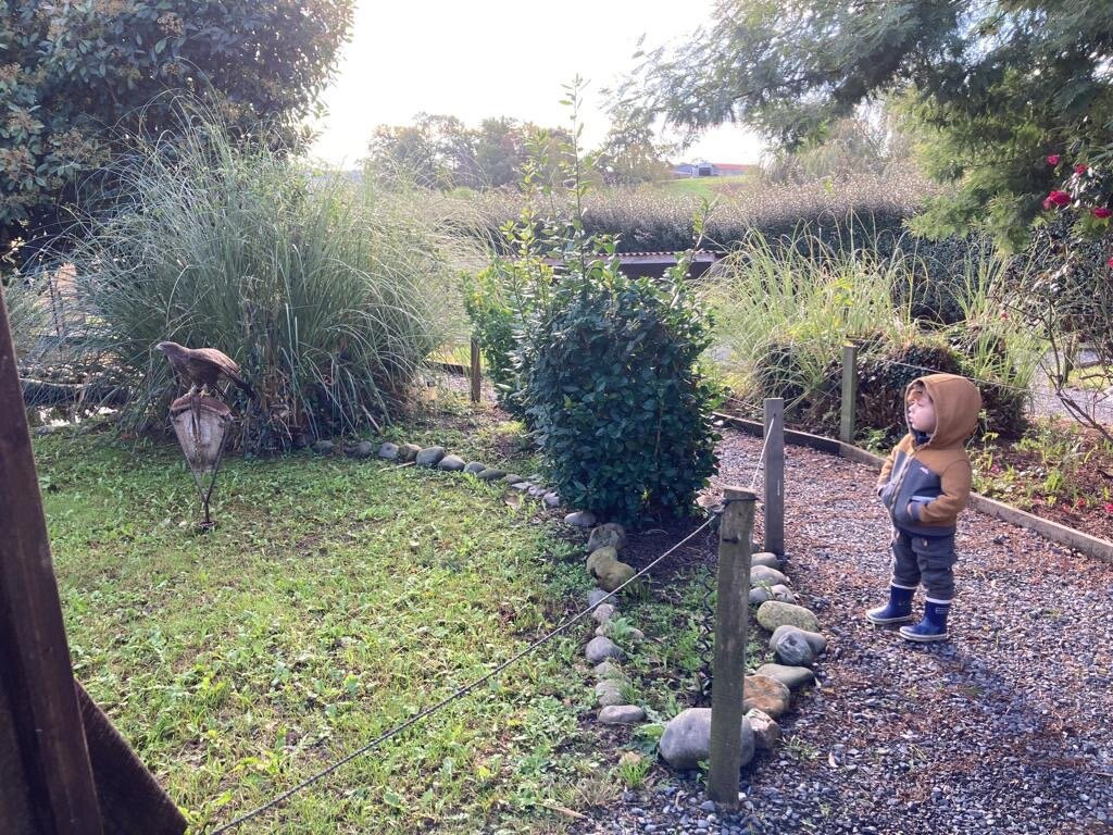 Parc aux Rapaces - Fauconnerie Marche - Madiran-Saint-Lanne必去景点