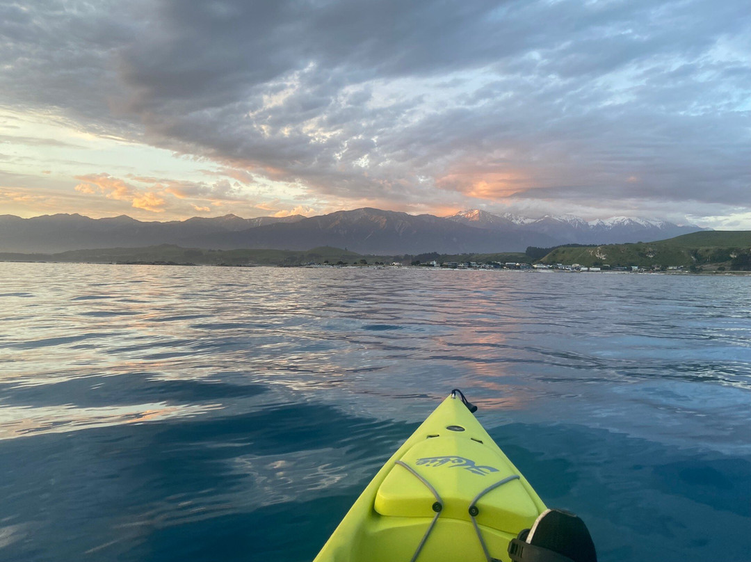 Seal Kayak Kaikoura-Kaikoura必去景点