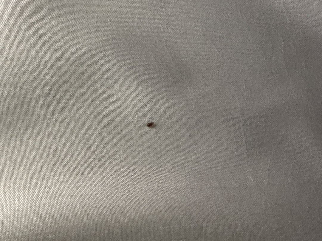 宜必思悉尼机场酒店主图