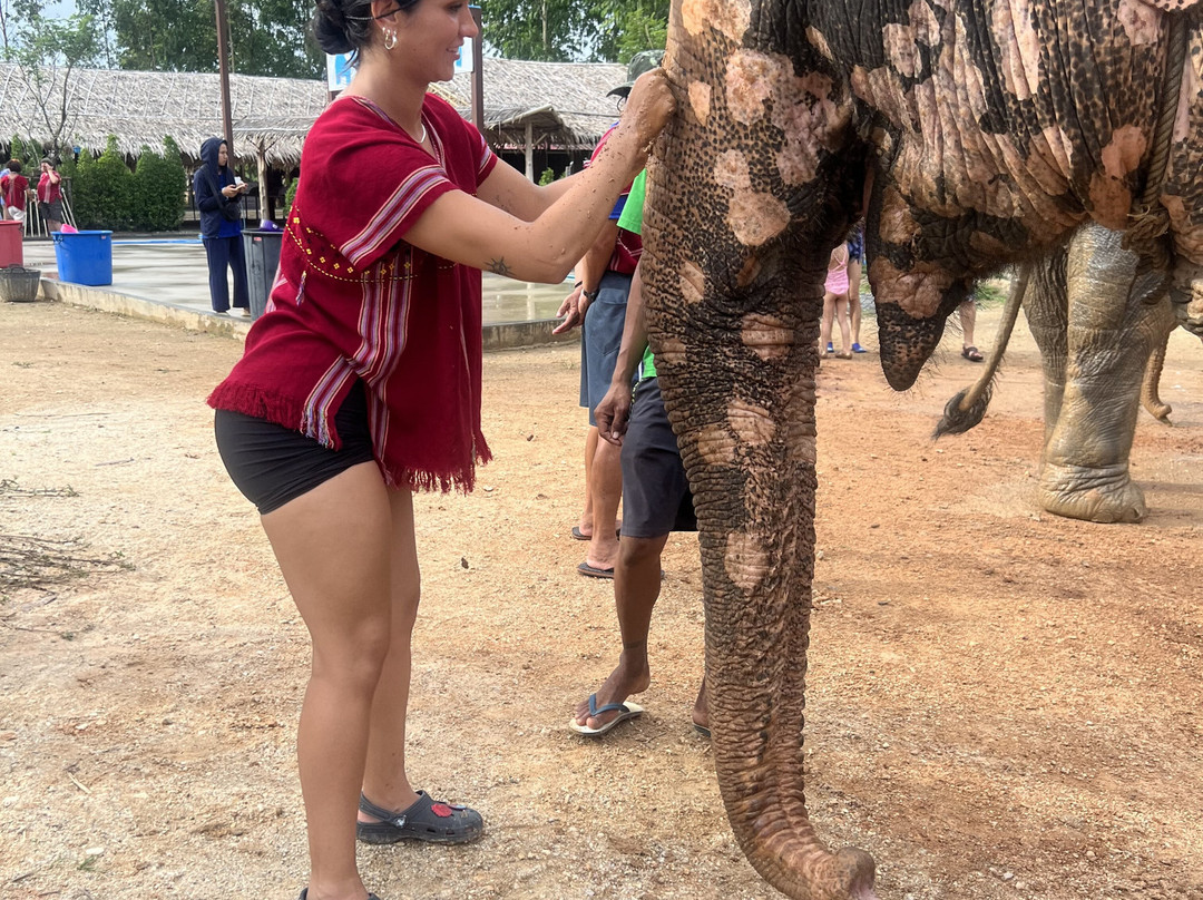 Elephant Family Phuket-卡图必去景点